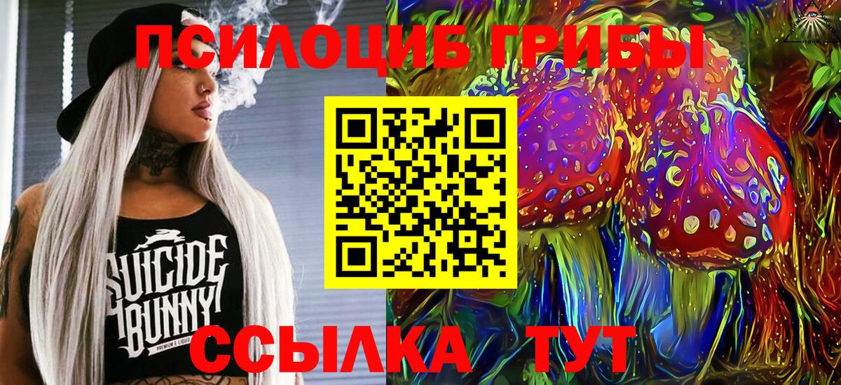 Нижнеудинск  Псилоцибиновые грибы Psilocybine cubensis  купить наркотик  Псилоцибиновые грибы ЛСД  Вход с VPN 