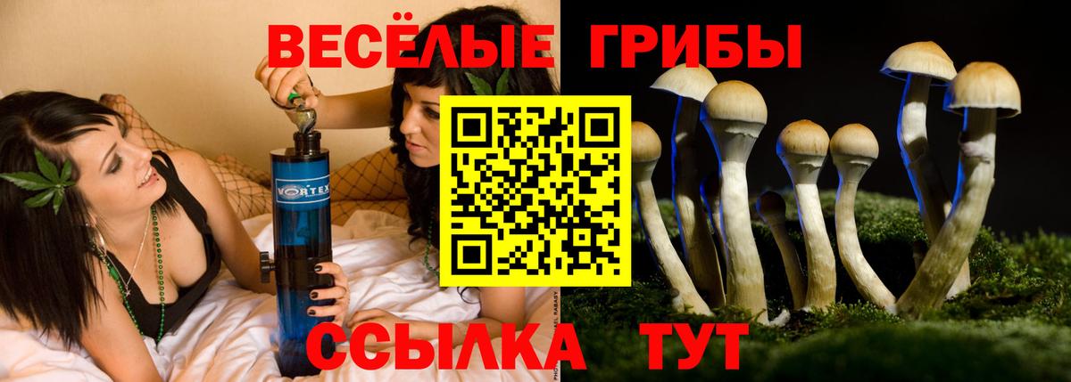 Галлюциногенные грибы Psilocybine cubensis Нижнеудинск